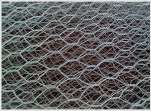 10%鋅鋁合金石籠網(wǎng) 10%鋅鋁合金石籠網(wǎng)