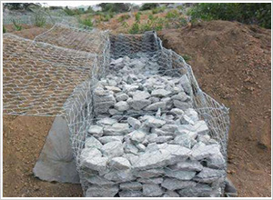 鍍鋅固賓籠 鍍鋅固賓籠