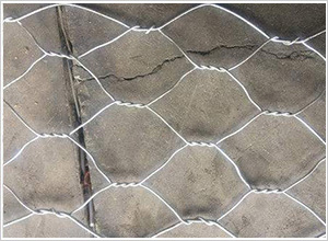 雙絞合鍍鋅鋼絲網(wǎng) 雙絞合鍍鋅鋼絲網(wǎng)