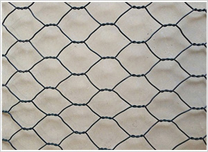 雙絞格網(wǎng) 雙絞格網(wǎng)