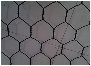 塞克格賓網(wǎng) 塞克格賓網(wǎng)