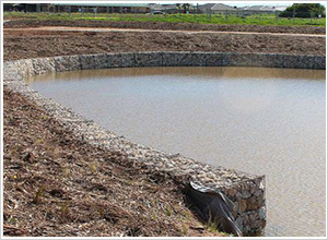 河道治理鋼絲網(wǎng) 河道治理鋼絲網(wǎng)