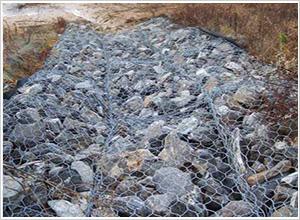 護(hù)坡格賓網(wǎng) 護(hù)坡格賓網(wǎng)