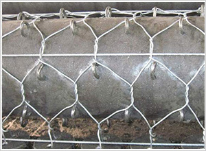 加筋格賓網(wǎng) 加筋格賓網(wǎng)