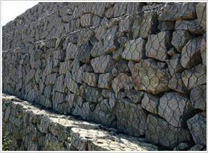 雷諾護(hù)墊廠家 雷諾護(hù)墊廠家