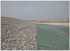 綠格網(wǎng) 綠格網(wǎng)