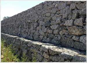 綠格網(wǎng)箱 綠格網(wǎng)箱