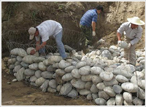 鉛絲籠價(jià)格 鉛絲籠價(jià)格